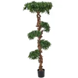 Europalms Bonsai-Palmenbaum, 180cm