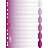 Brunnen Ringbuchregister DIN A4 6 Blatt Pink