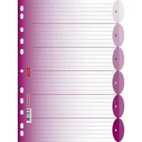 Brunnen Ringbuchregister DIN A4 6 Blatt Pink