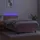 vidaXL Boxspringbett 100 x 200 cm Rosa