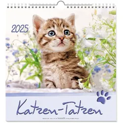 Kleine Katzen-Tatzen 2025