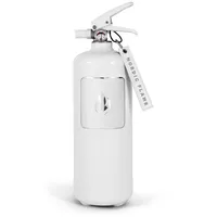 Nordic Flame Feuerlöscher Classic 2 kg - weiß