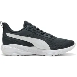 Puma ANZARUN 2 LITE SLIPTECH Herren Grau/Weiß 40