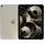 Apple iPad Air (5. Generation 2022) 64 GB Wi-Fi + Cellular polarstern
