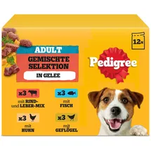 PEDIGREE Hundefutter Portionsbeutel Chunks in Gelee Adult 4 x 12 x 100 g