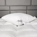 Mayaadi Home HS7 Kopfkissen 80 x 80 cm Weiß