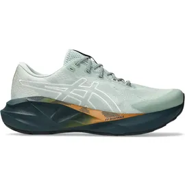 Asics Novablast 5 TR Herren Nature Bathing/Lichen Rock 44,5