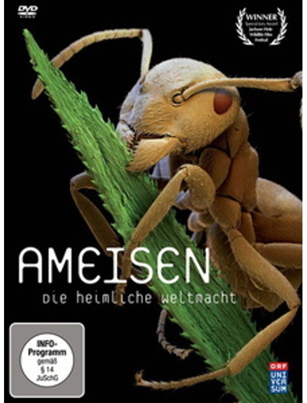 Ameisen - Die Heimliche Weltmacht (DVD)