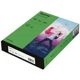 Inapa tecno colors A4 160 g/m2 250 Blatt intensivgrün