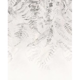 KOMAR Vliestapete Schwarz, Weiß, Sträucher, 200x250 cm,