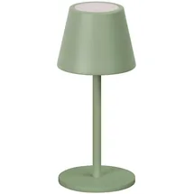 FH Lighting SALERNO Salbeigrün