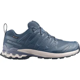Salomon XA Pro 3D V9 GTX Herren Spellbound/Grisaille/Maritime Blue 44,5
