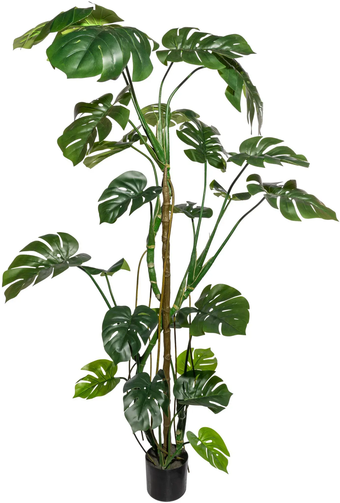 Creativ green Kunstbaum »Splitphilodendron« Creativ green grün