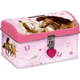 Die Spiegelburg Spardose