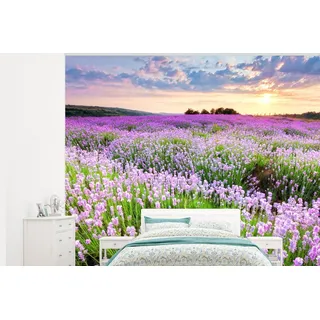 MuchoWow Fototapete Blumen - Lavendel - Lila - Himmel - Sonnenuntergang - Wiese - Natur, Matt, bedruckt, Vinyl Tapete für Wohnzimmer oder Schlafzimmer, Wandtapete, 300x240 cm bunt 3 m x 2 m