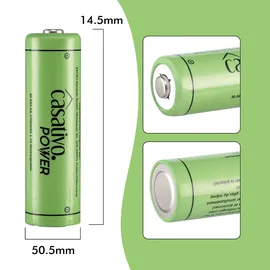 casativo-power AA 2700 mAh 8 St.