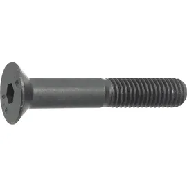 F. REYHER Nchfg. GmbH & Co. KG Senkschraube ISO 10642 Innen-6kt M5 x 25 500 Stück