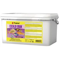 Tropical Cichlid Gran