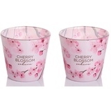 Dekohelden24 Duftkerze-Windlicht-Kerze im Glas-als 2er Set-Duftrichtung Cherry Blossom Sakura und Cherry Blossom Sakura pink Blush, L/B/H 8 x 8 x 8 cm, 115g je Kerze, Rosa
