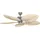 CasaFan Caribbean Dream Eco II Timer 137 cm Deckenventilator chrom/matt/palme/natur