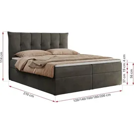 MKS Meble Boxspringbett 160x200 cm mit Bettkasten und Matratze H3, Bett mit Topper T25, Polsterbett Doppelbett mit Stauraum - Premium 10 - Dunkelgrau