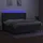 vidaXL Boxspringbett mit Matratze & LED Dunkelgrau 200x200 cm Stoff
