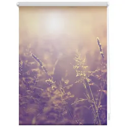 Lichtblick Rollo, ‎‎Klemmfix, 70x150 cm‎‎, Sommerabend, orange