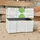 Festool Systainer3 SYS3 S 147 Aufbewahrungskiste Kunststoff 265 x 171 x 142mm