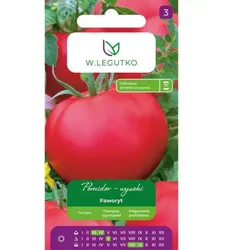 Faworyt – hohe Freilandtomate – sehr große, fleischige Früchte