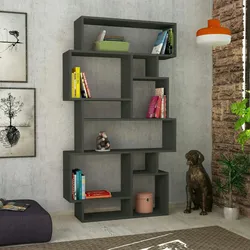 Dmora Bücherregal Dlusuard, Büroregal, Mobiler Buchhalter, Bücherbrett, 96x26h169 cm, Anthrazit