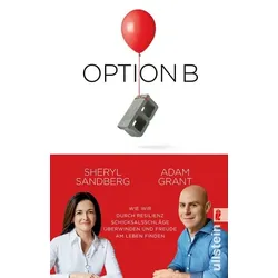 Option B