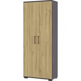 Germania Aktenschrank Profi 2.0