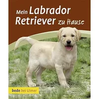 Ulmer Eugen Verlag Mein Labrador Retriever zu Hause