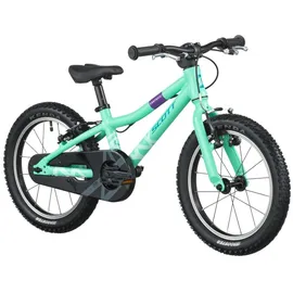 Scott Contrail 160 20 Zoll RH 31 cm grün