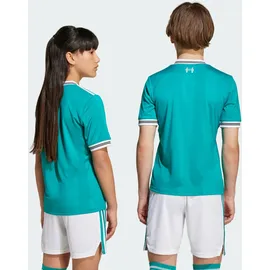 adidas FC Liverpool Ausweichtrikot 2025/26 Kinder grün Gr. 140