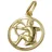 GALLAY Sternzeichen Schütze Gold 15mm