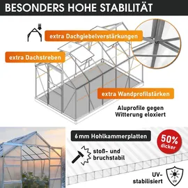 Brast Gewächshaus Aluminium Silber HKP 6 mm 5,89 m2
