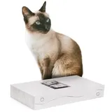 Canadian Cat Company Kratzbrett 42 x 23,5 x 7 cm weiß