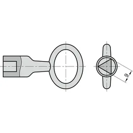 BASI Dornschlüssel Bautenschlüssel Innendreikant 9mm Bauschlüssel