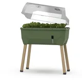 Gusta Garden Anzuchtsgefäß Sammy Salad 15 L dunkelgrün