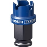 Bosch Professional Expert Sheet Metal Lochsäge 22mm, 1er-Pack (2608900493)