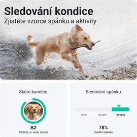 tractive GPS Tracker Hund XL wasserdicht grün