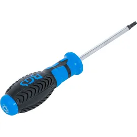BGS Schraubendreher T-Profil (für Torx) T25 Klingenlänge 100 mm