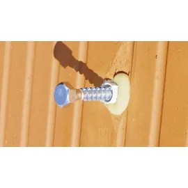 Beko Konstruktionskleber Allcon 10 310 ml