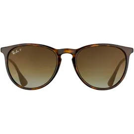 Ray-Ban Erika RB4171 710/T5 54-18 tortoise-gunmetal/brown gradient
