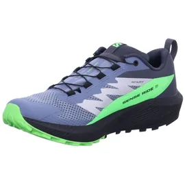 Salomon Sense Ride Herren Flint Stone/Black/Green Gecko 42