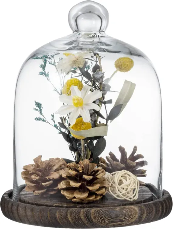 MyGift Transparente Glasglocke mit Holzsockel, 24,1H x 18,9D cm, Braun