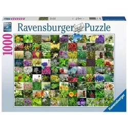 RAVENSBURGER 15991 Erwachsenenpuzzle - 99 Kräuter und Gewürze - 1000 Teile