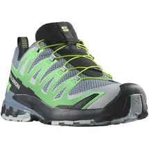Salomon XA Pro 3D V9 Herren Flint Stone / Green Gecko / Black 41 1/3