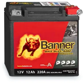 Banner ETX14L 12 Ah 220 A